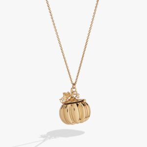 Pumpkin Patch Pumpkin Locket Necklace