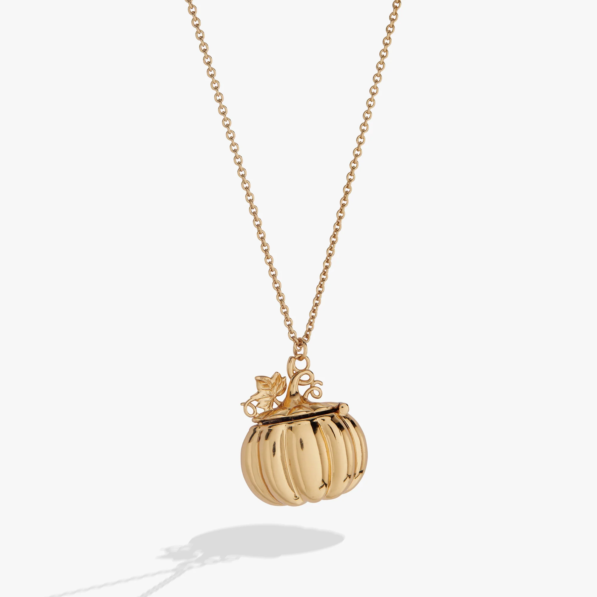 Pumpkin Patch Pumpkin Locket Necklace