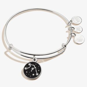 Aquarius Zodiac Charm Bangle