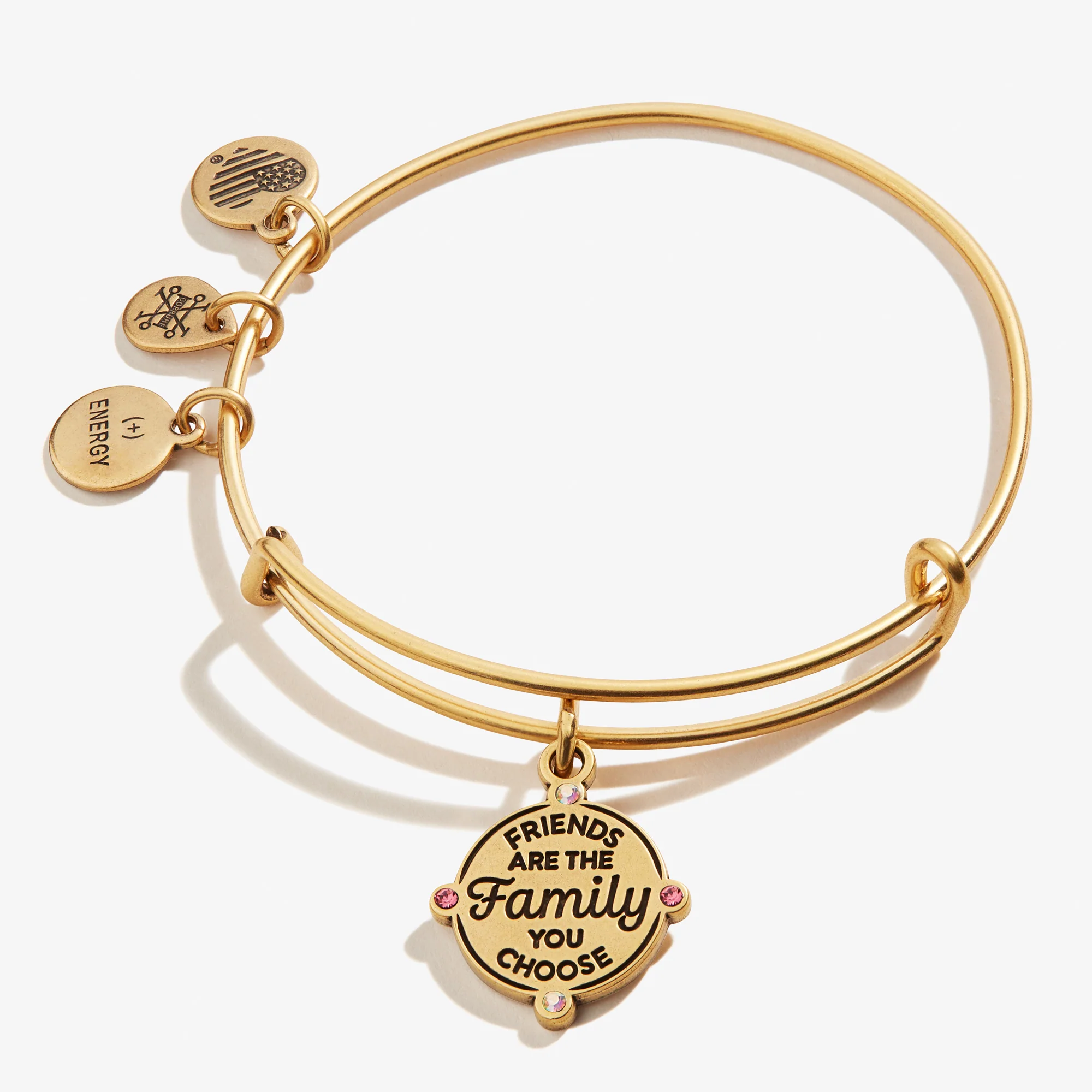 'Friends are the Family You Choose' Charm Bangle