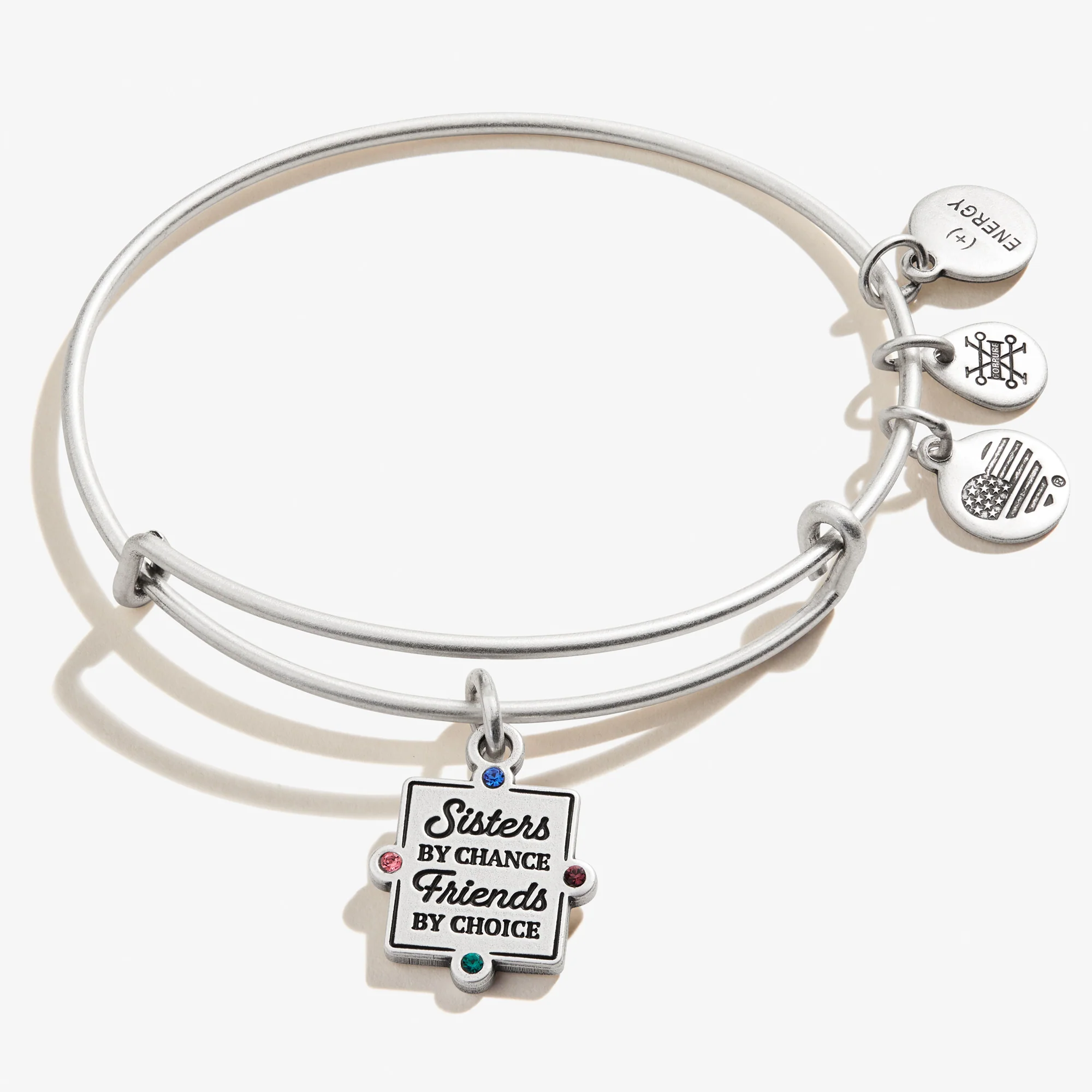 'Sisters By Chance. Friends By Choice' Charm Bangle