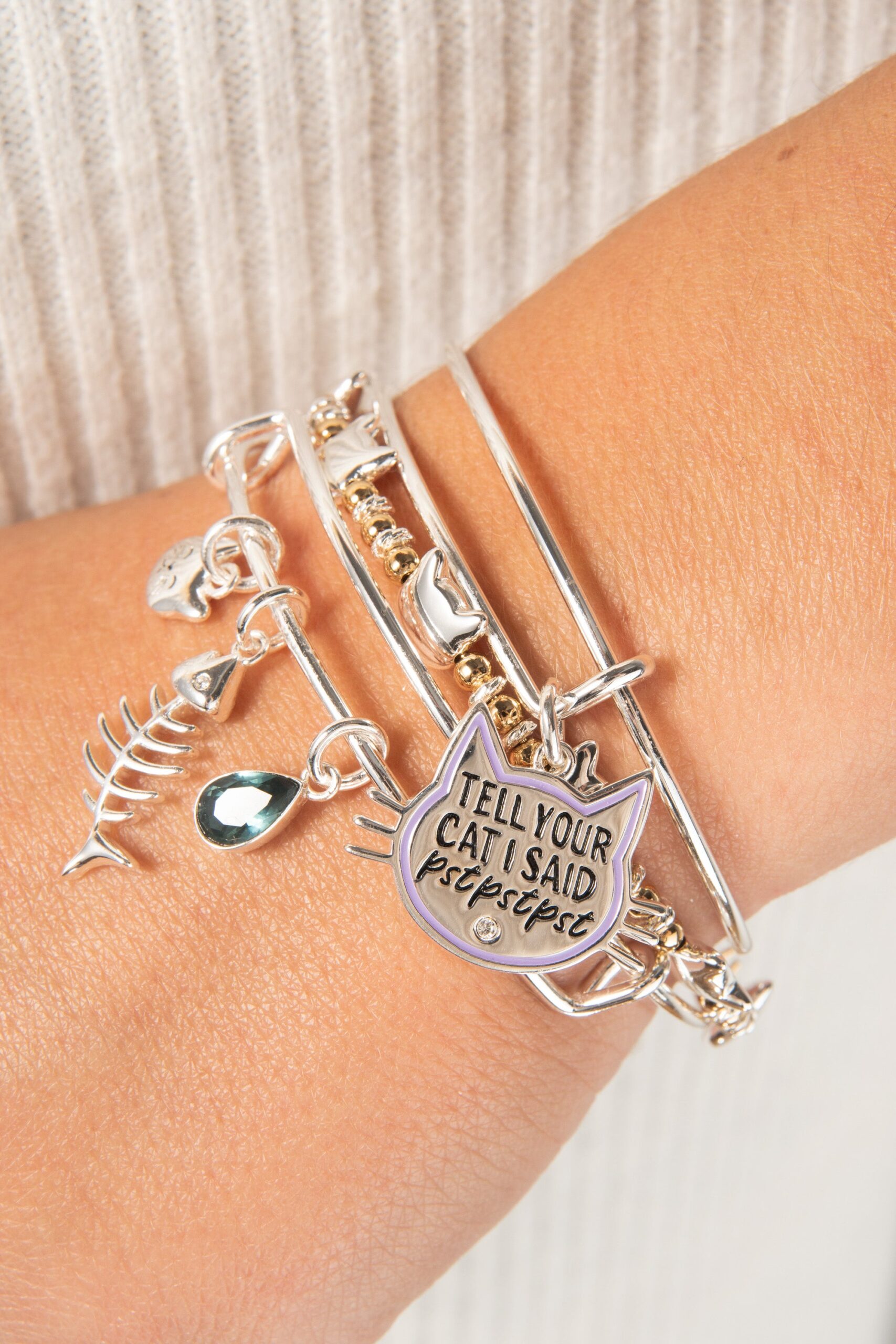 'Tell Your Cat I Said Pst Pst Pst' Bangle - Image 3