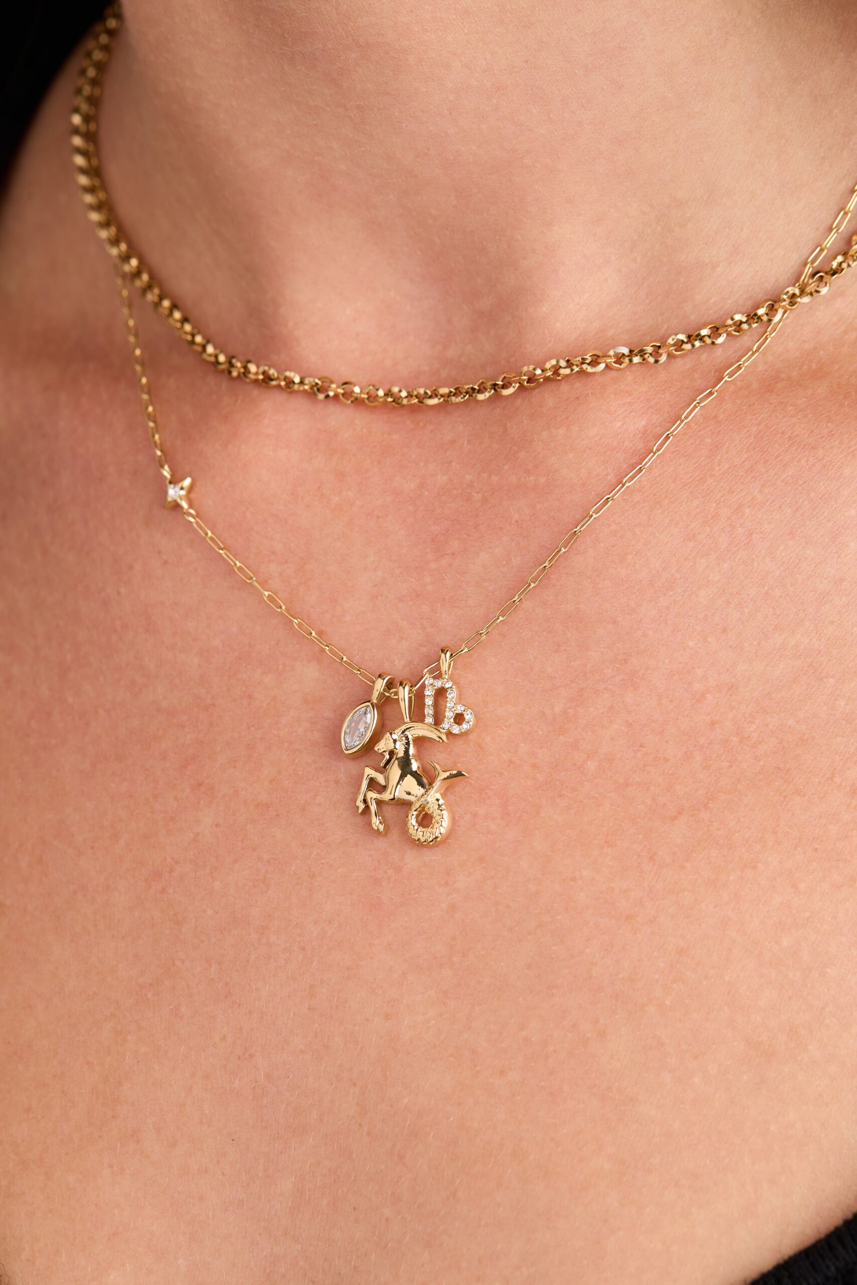 Capricorn Zodiac Charm Cluster Necklace - Image 2