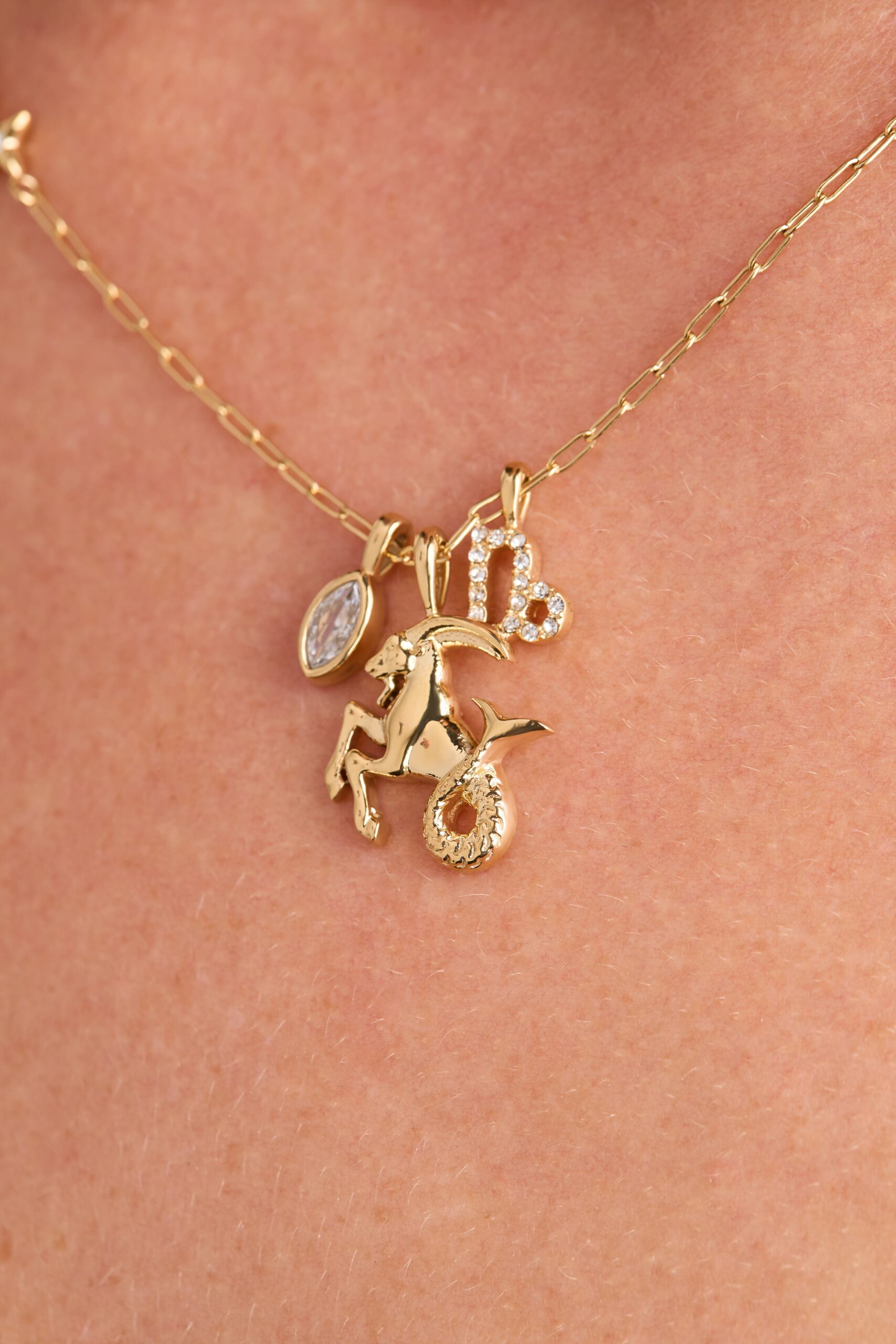Capricorn Zodiac Charm Cluster Necklace - Image 4