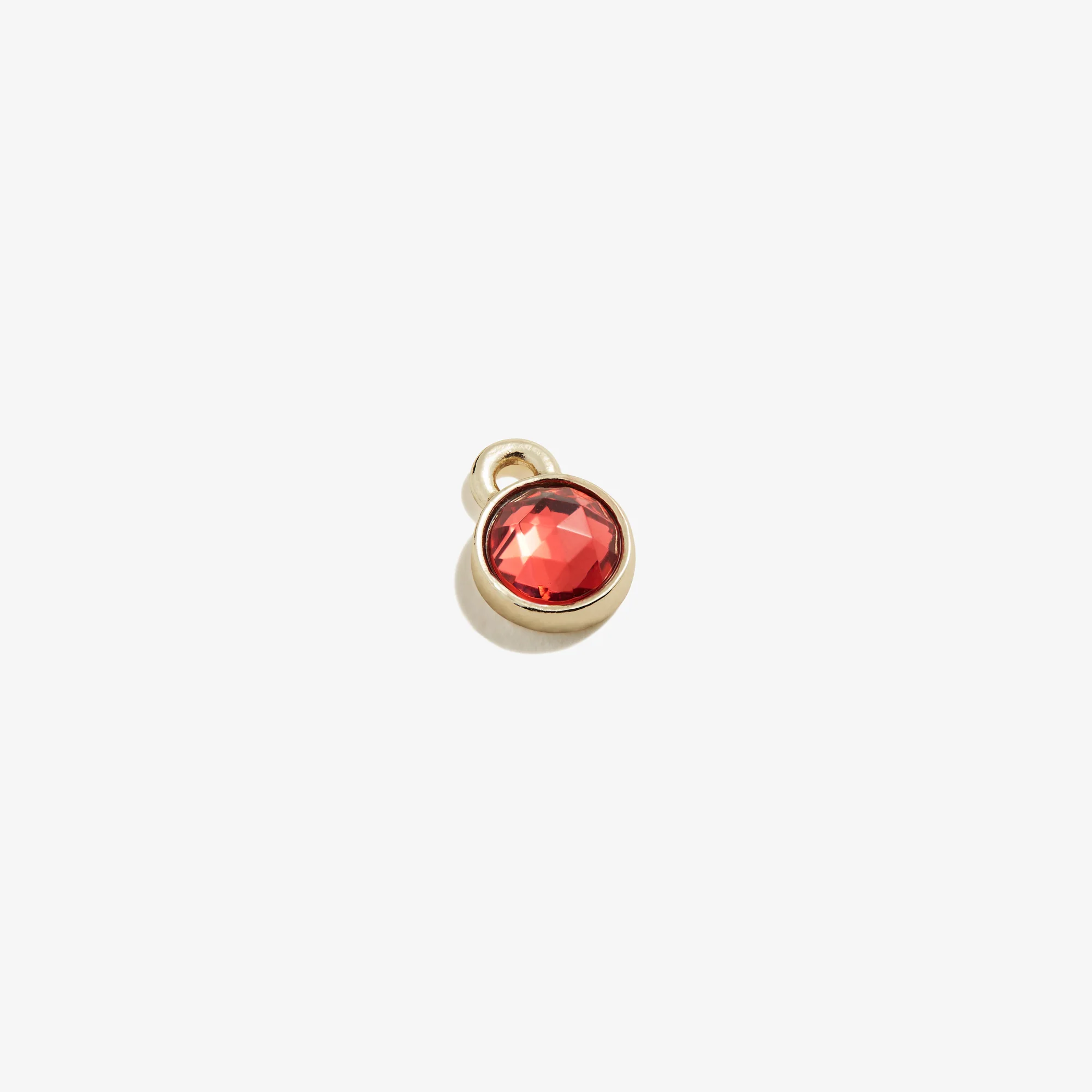 Rose Hoop Earring Charm. Circle