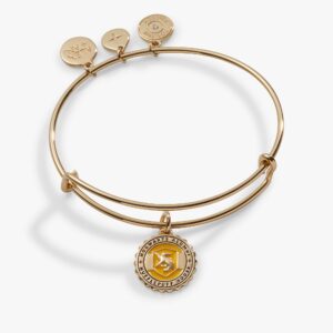 Harry Potterâ„¢ Hufflepuff House Charm Bangle