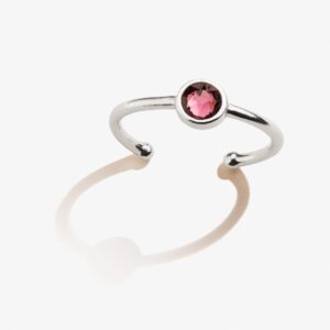 Amethyst Birthstone Ring. February