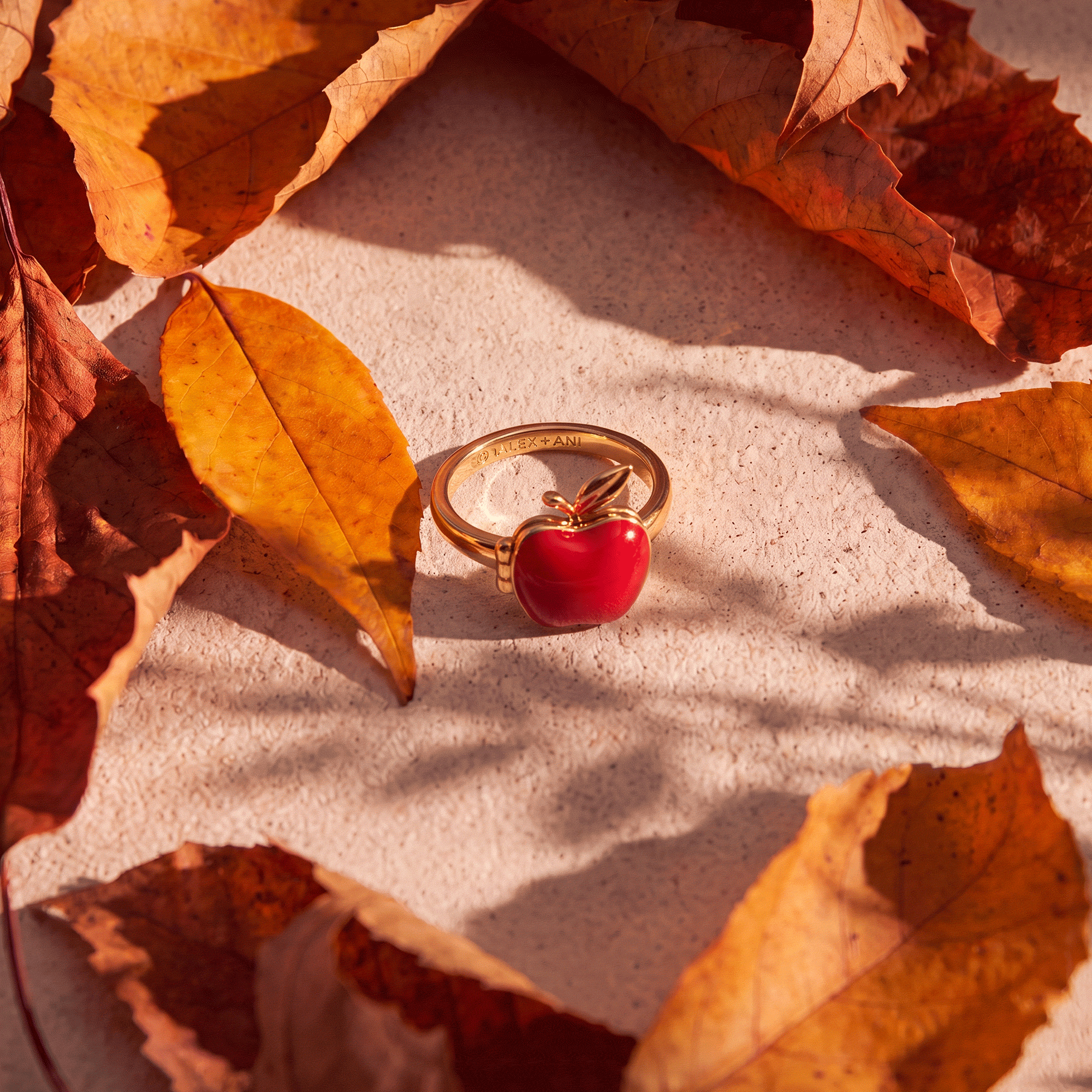 'Apple of My Eye' Locket Ring - Image 6