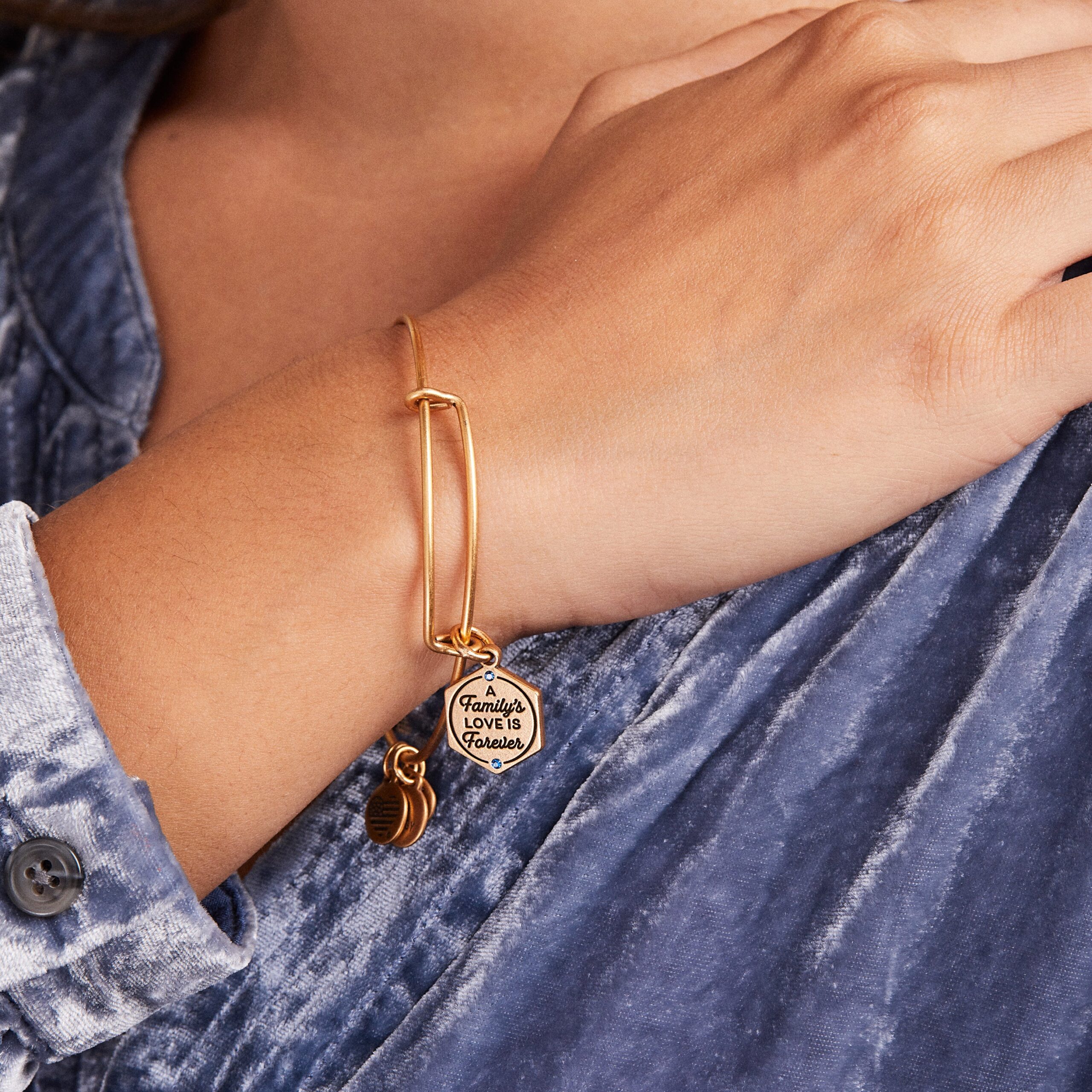 'A Family's Love is Forever' Charm Bangle - Image 4