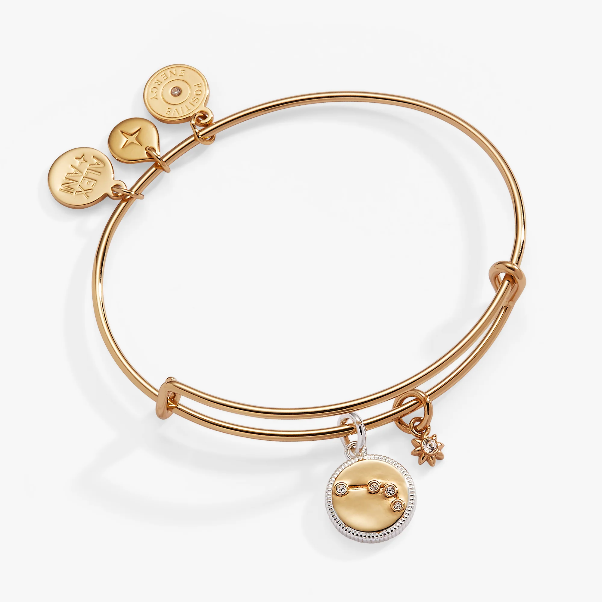 Aries Zodiac Charm Bangle