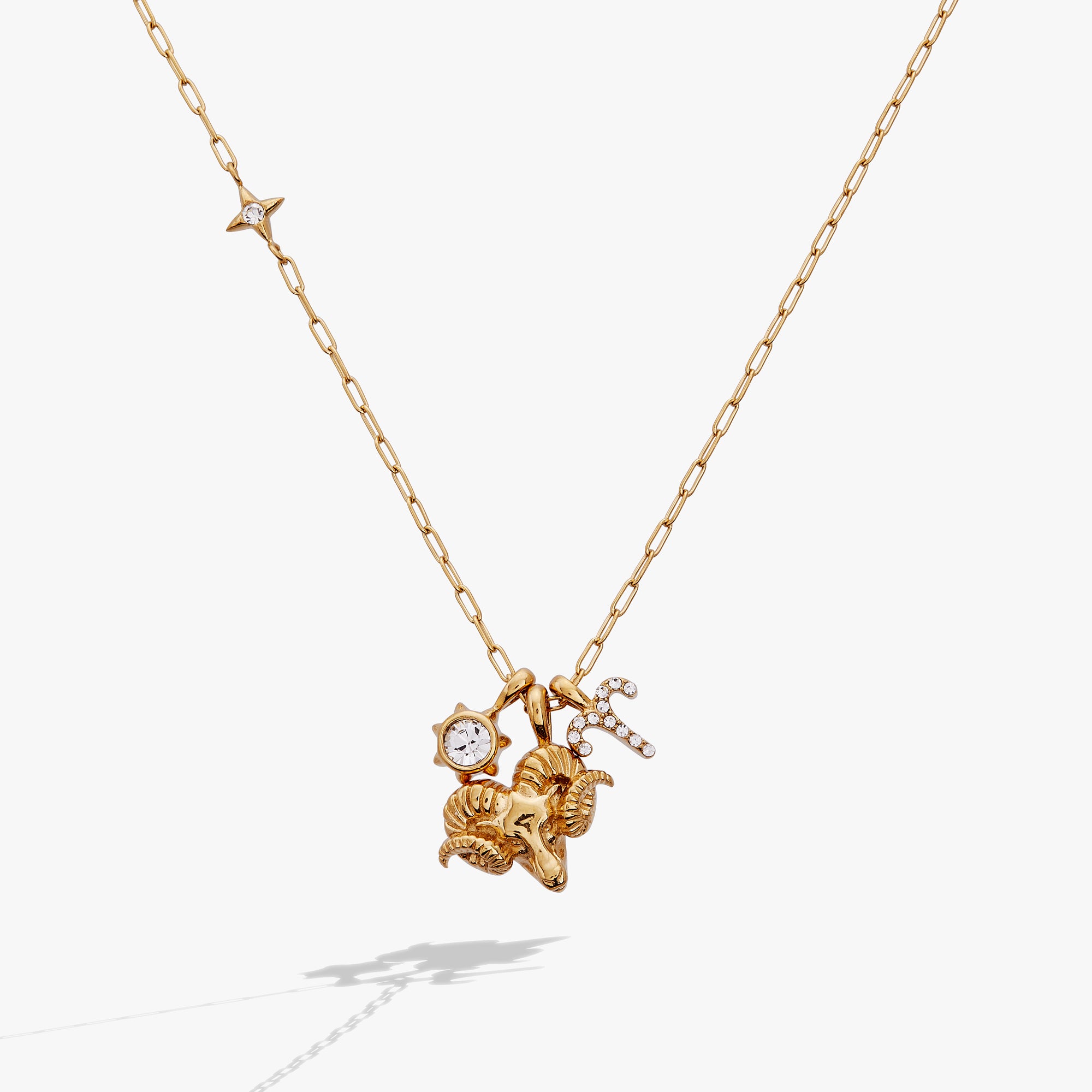 Aries Zodiac Charm Cluster Necklace