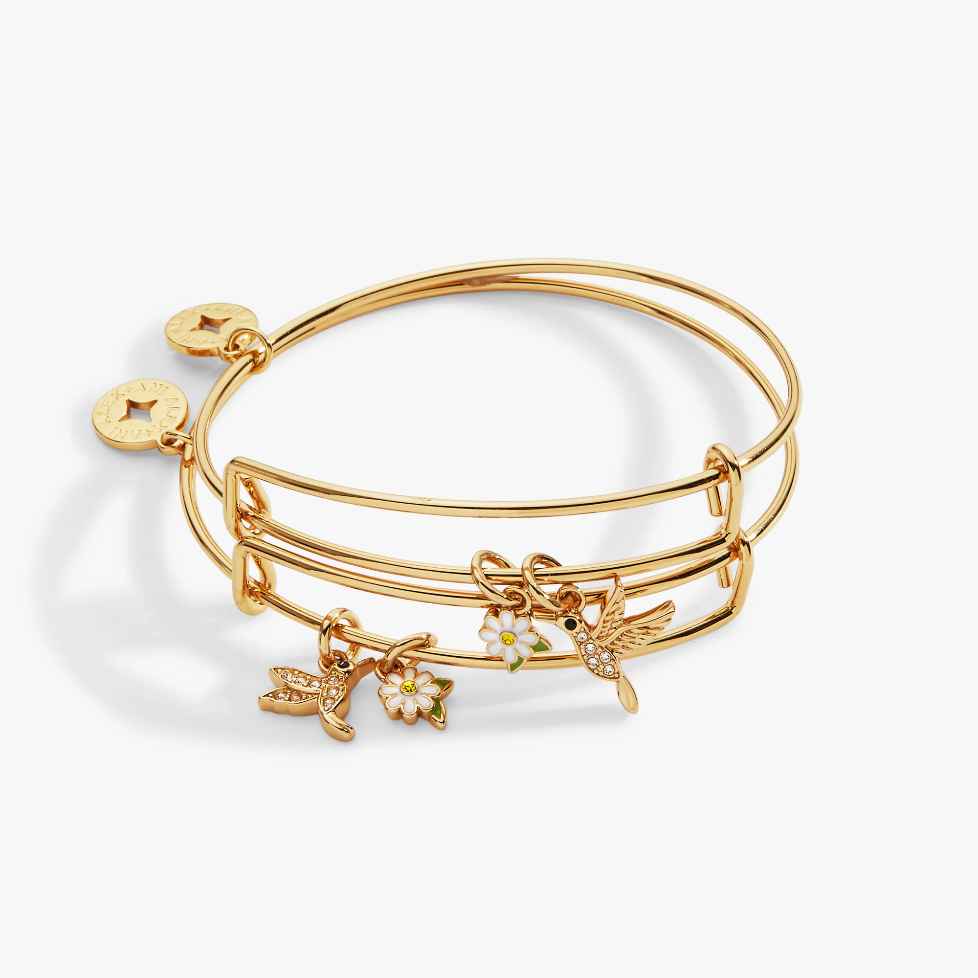 'Birds of a Feather' Hummingbird Charm Bangle. Set of 2