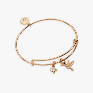 Hummingbird 'Birds of a Feather' Classic Charm Bangle