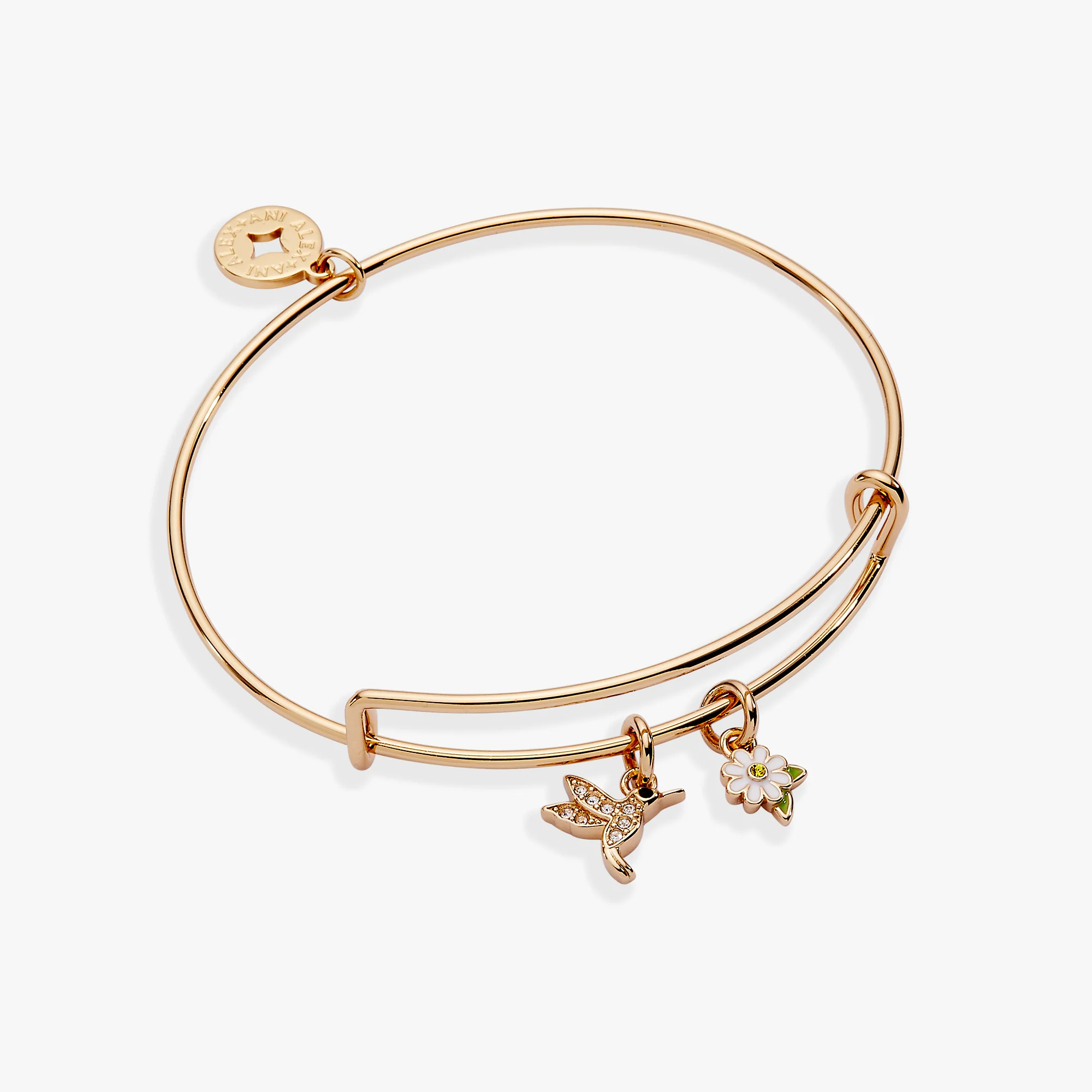 Hummingbird 'Birds of a Feather' Mini Charm Bangle