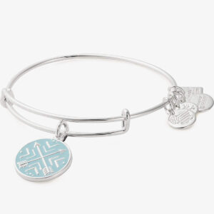Arrows of Friendship Charm Bangle