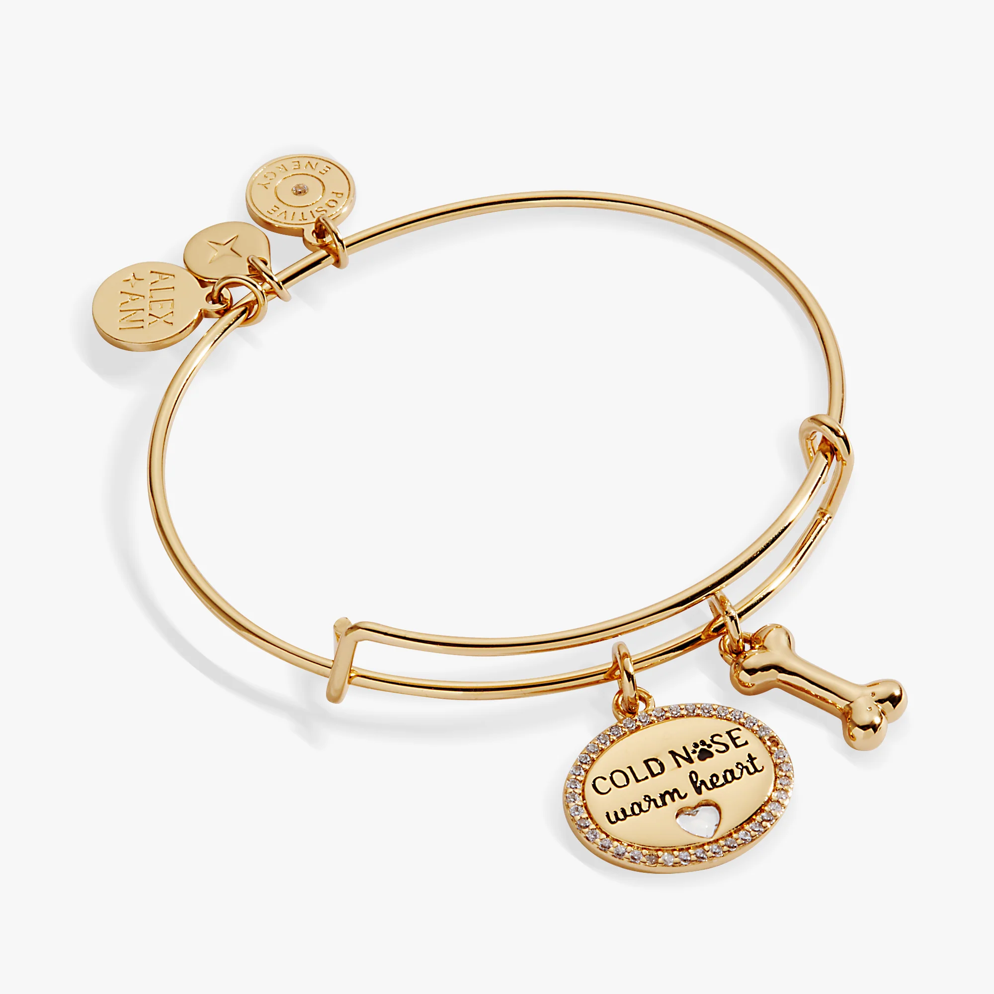 Cold Nose. Warm Heart Charm Bangle