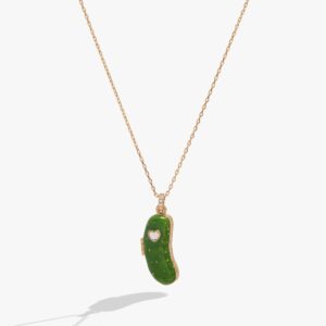 'I Like My Pickle Spicy' Locket Necklace