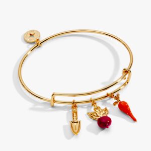 Farmers' Market Multi Charm Bangle