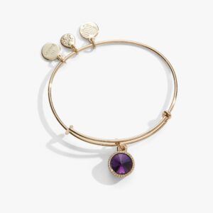 February Birthstone Charm Bangle. Amethyst