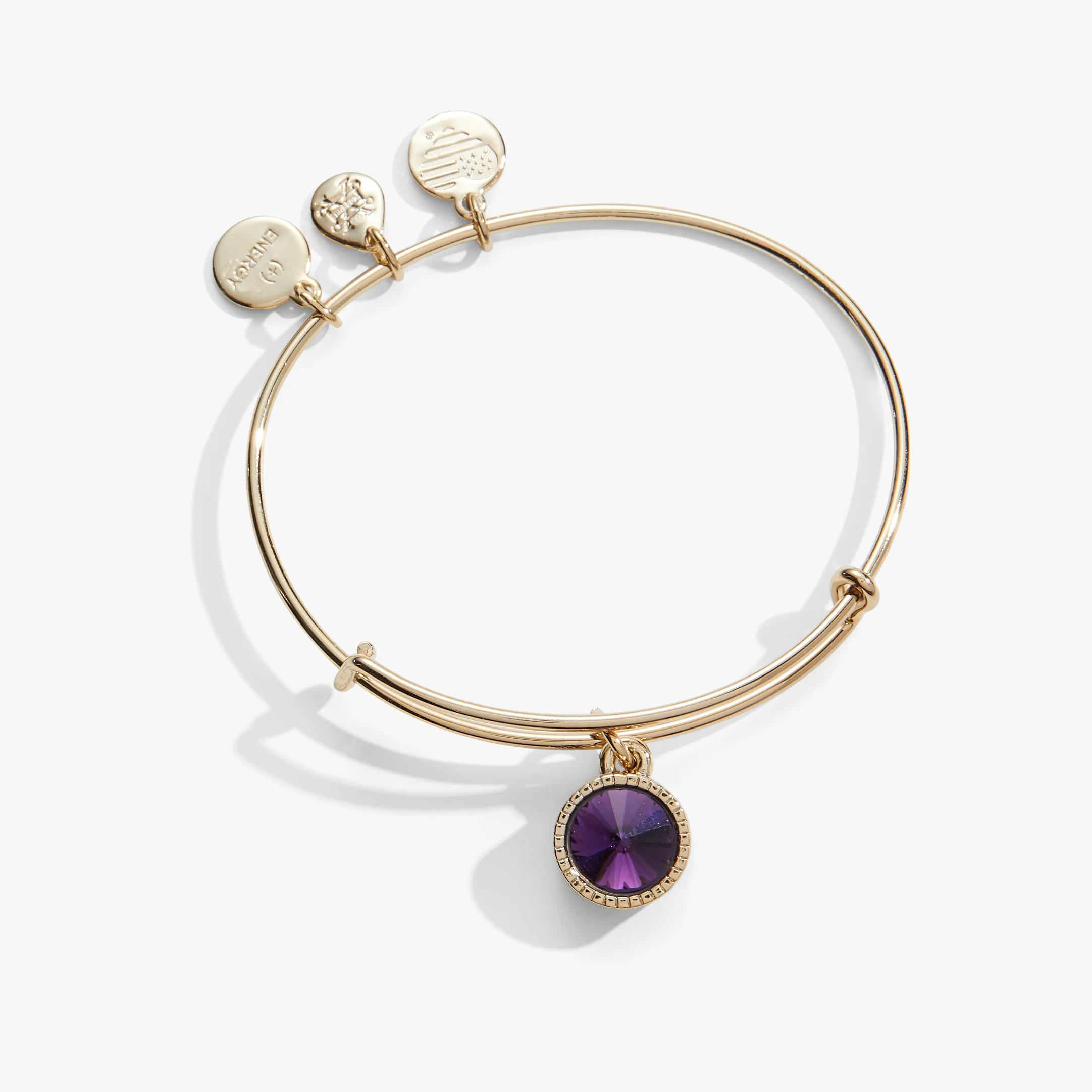 February Birthstone Charm Bangle. Amethyst