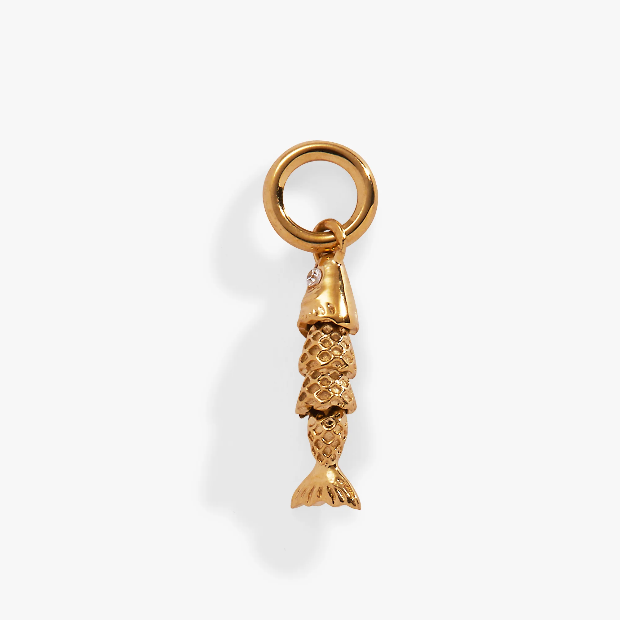 Fish Interchangeable Charm