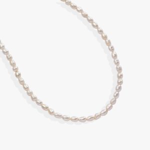 Freshwater Pearl Necklace