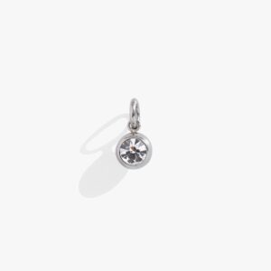 April Birthstone Interchangeable Charm