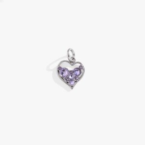 Crystal Heart Interchangeable Charm