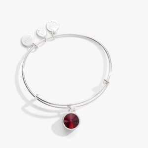January Birthstone Charm Bangle. Scarlet