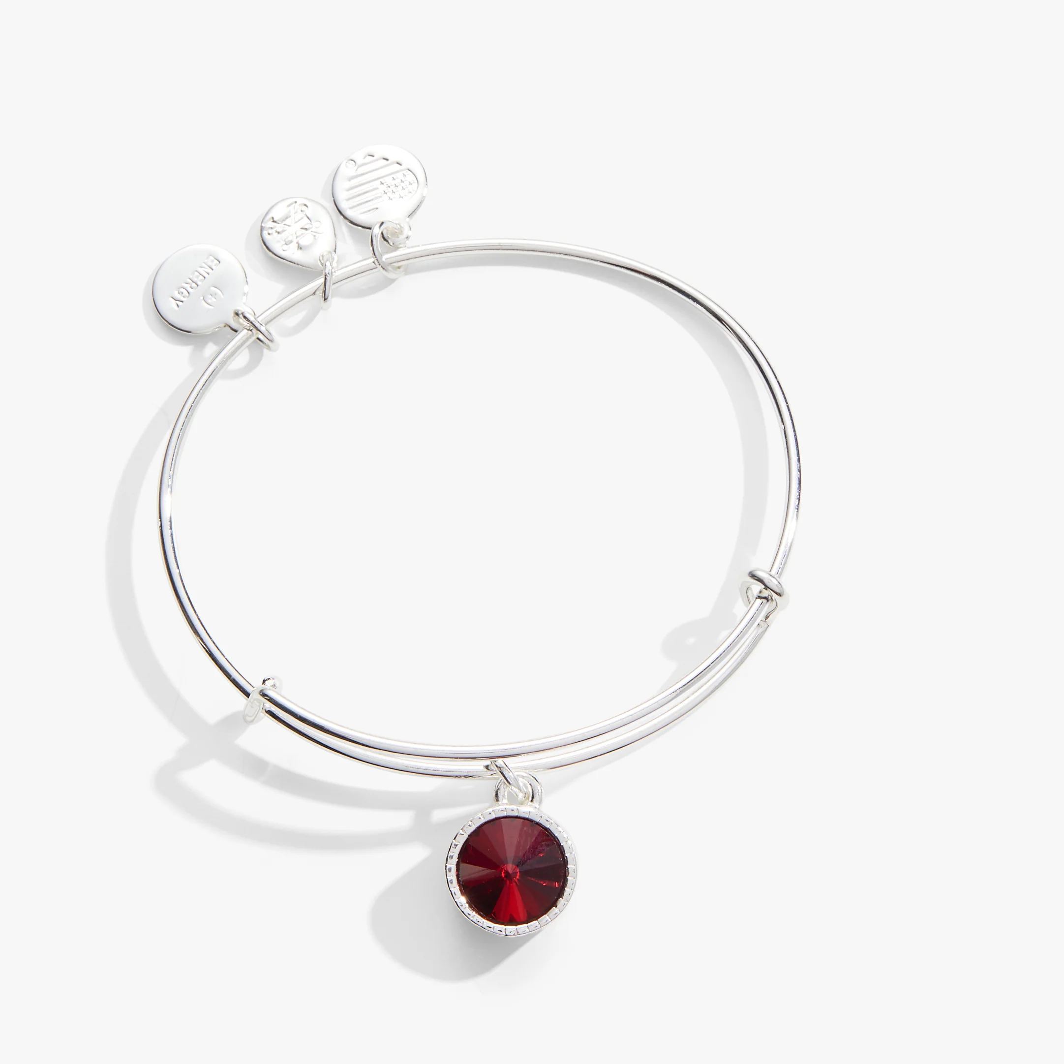 January Birthstone Charm Bangle. Scarlet