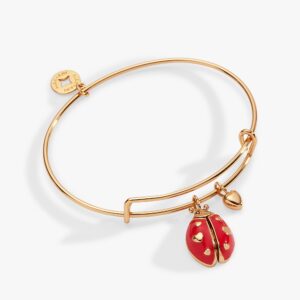 'Make Your Own Luck' Ladybug Charm Bangle