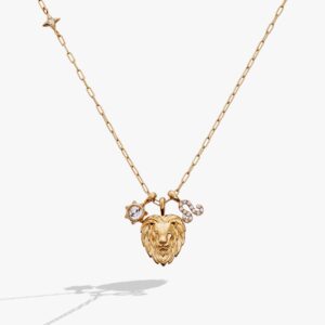Leo Zodiac Charm Cluster Necklace