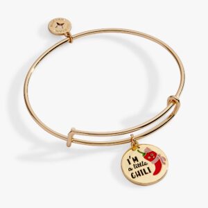 'I'm a Little Chili' Charm Bangle