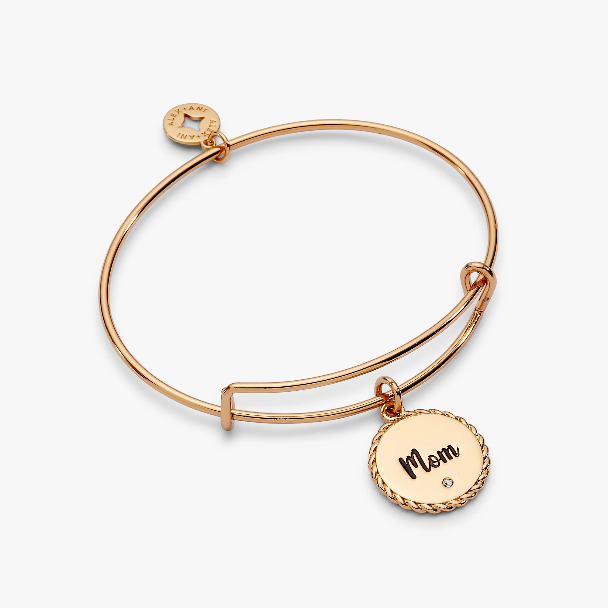 Mom 'Bonded By Love. Connected For Life' Charm Bangle