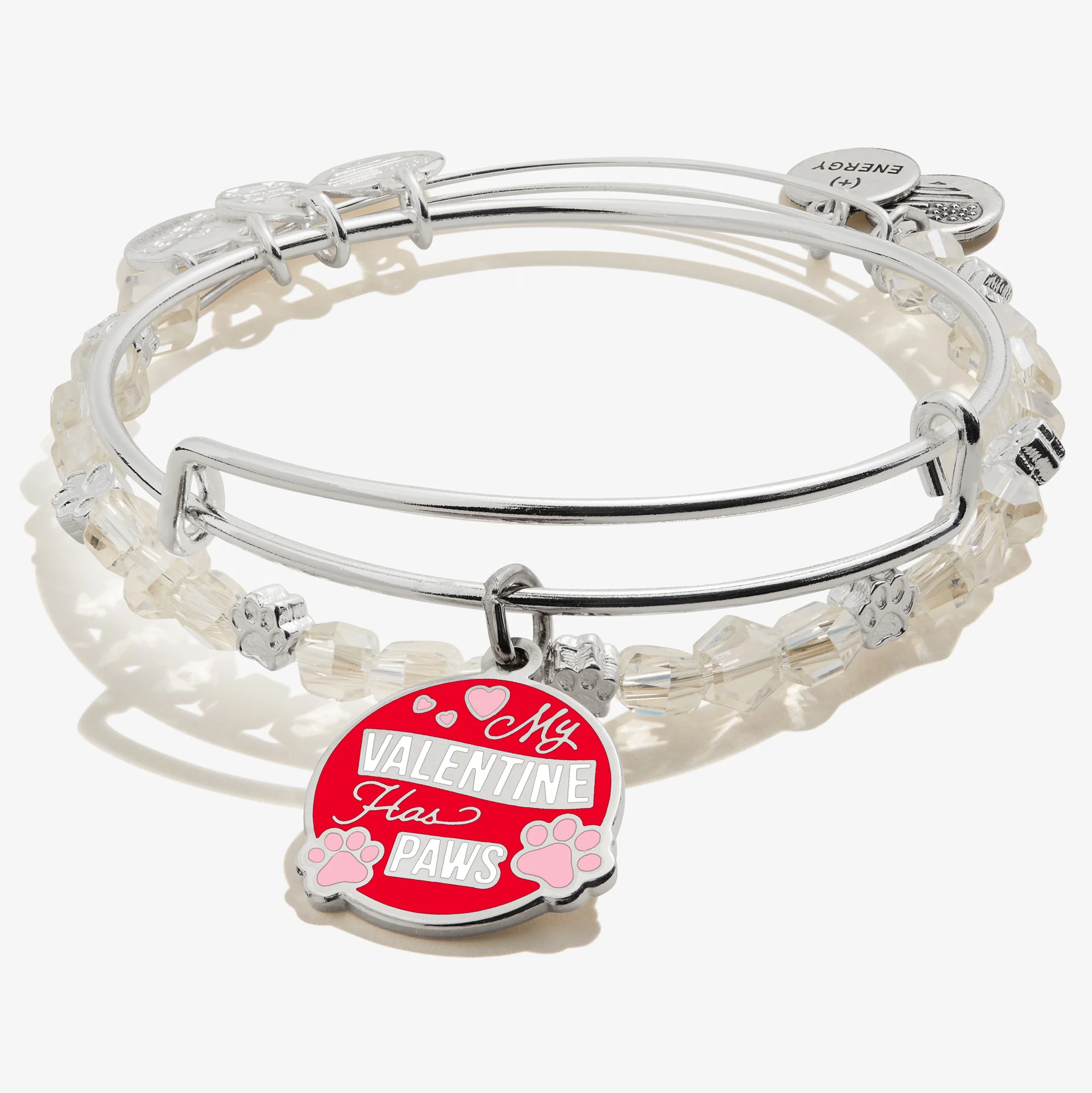 'My Valentine Has Paws' Charm Bangle Bracelet. Set of 2