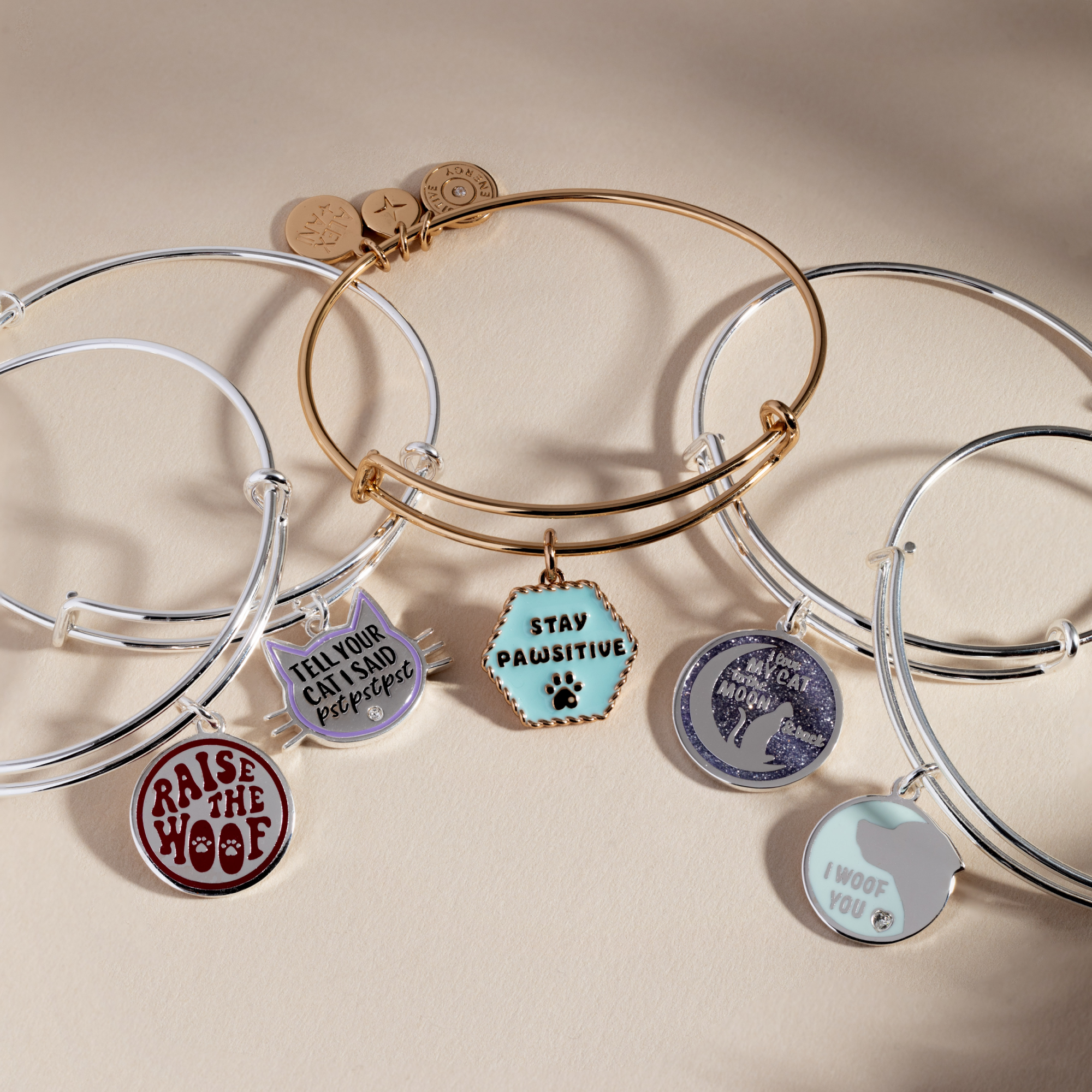 'Tell Your Cat I Said Pst Pst Pst' Bangle - Image 4