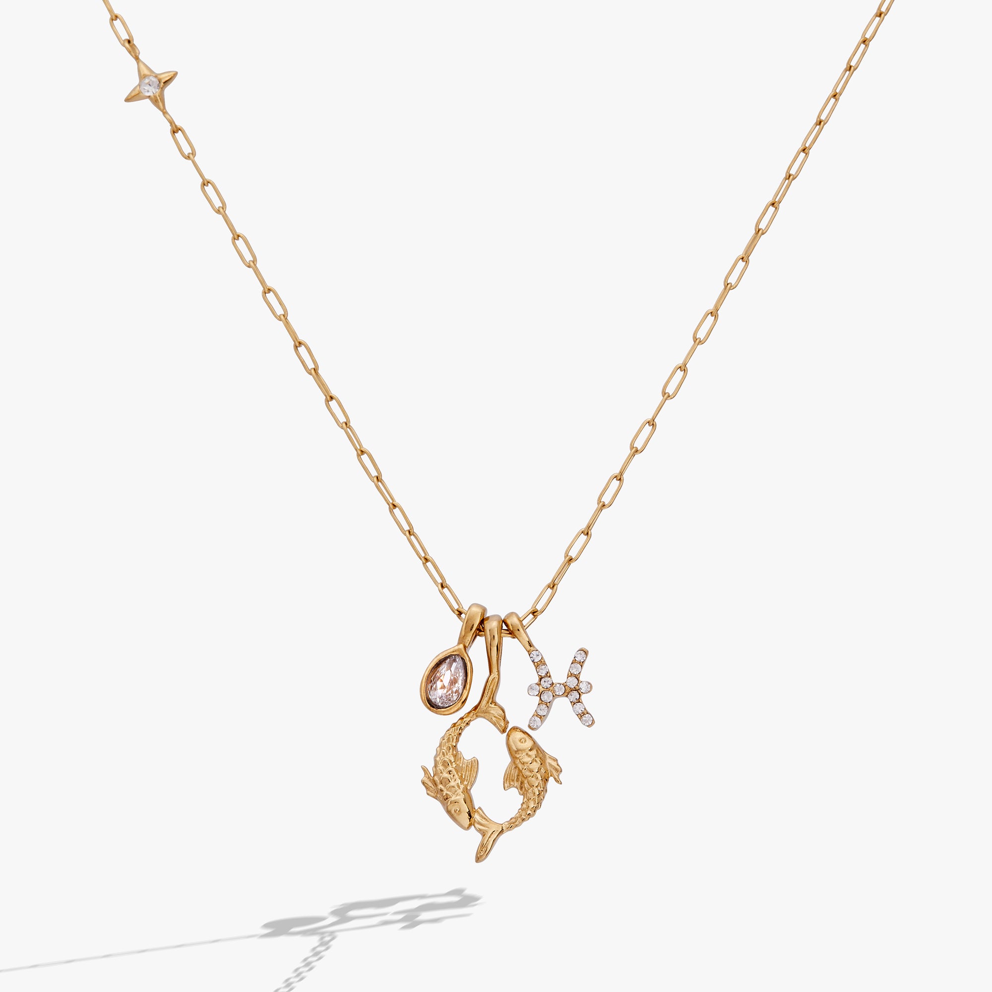 Pisces Zodiac Charm Cluster Necklace