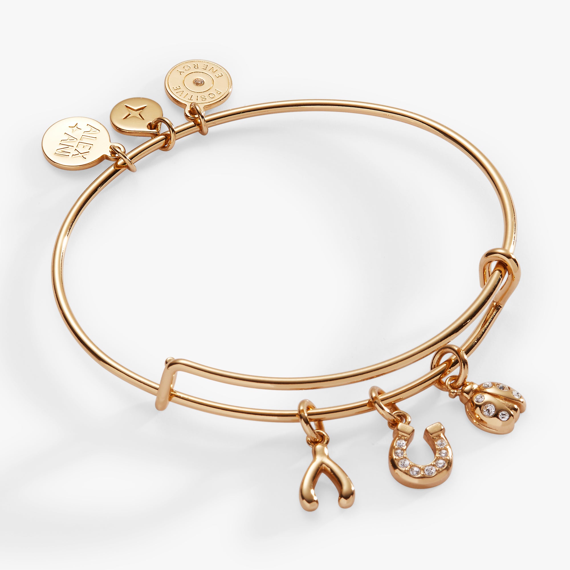 Love and Luck Multi-Charm Bangle - Image 4