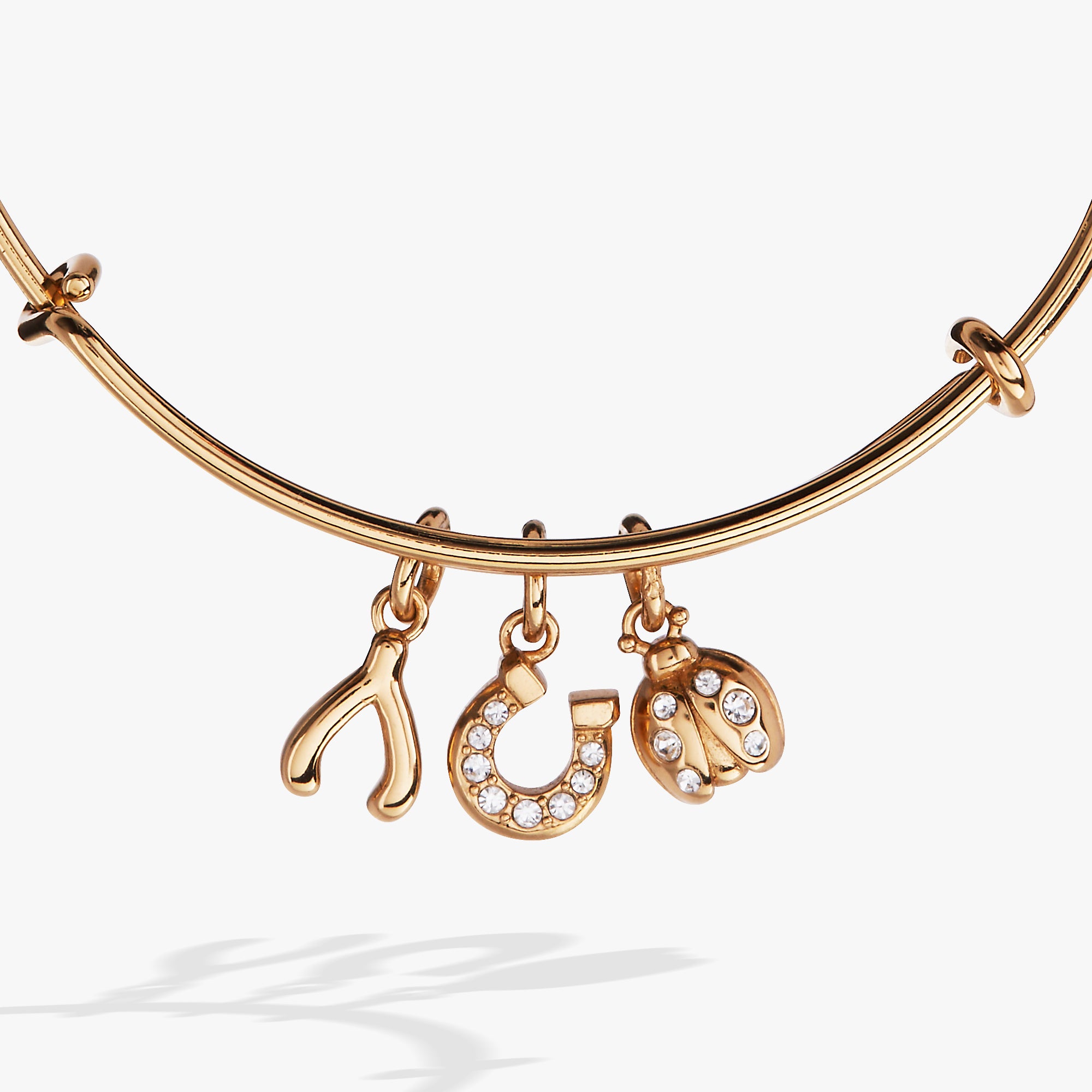 Love and Luck Multi-Charm Bangle - Image 5