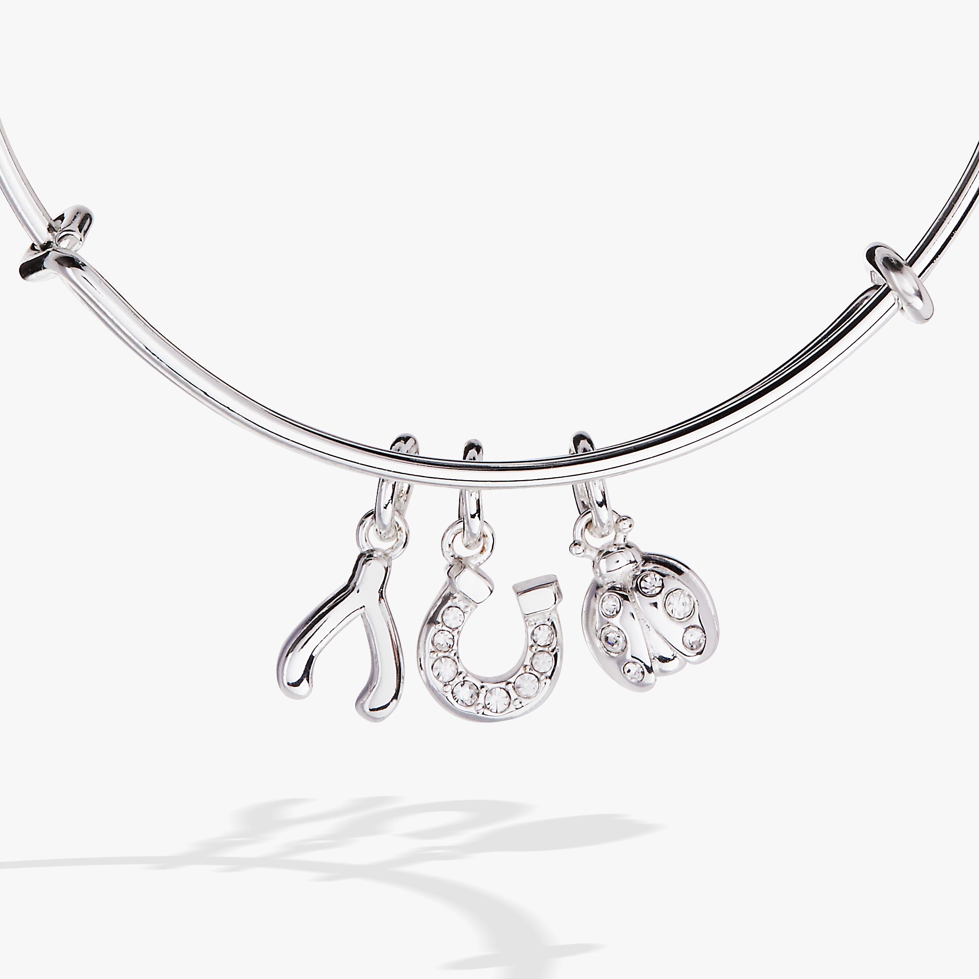 Love and Luck Multi-Charm Bangle - Image 3