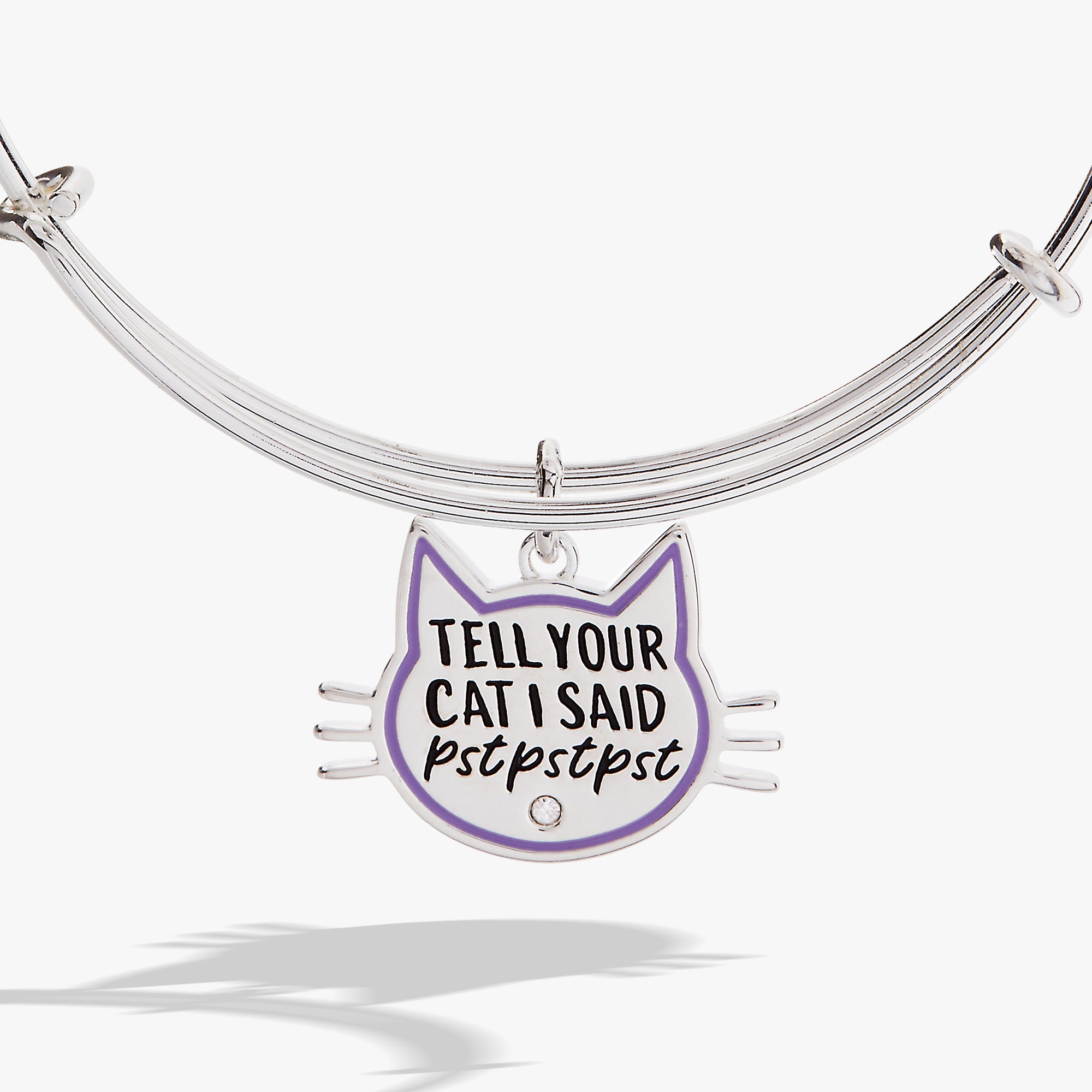 'Tell Your Cat I Said Pst Pst Pst' Bangle - Image 2
