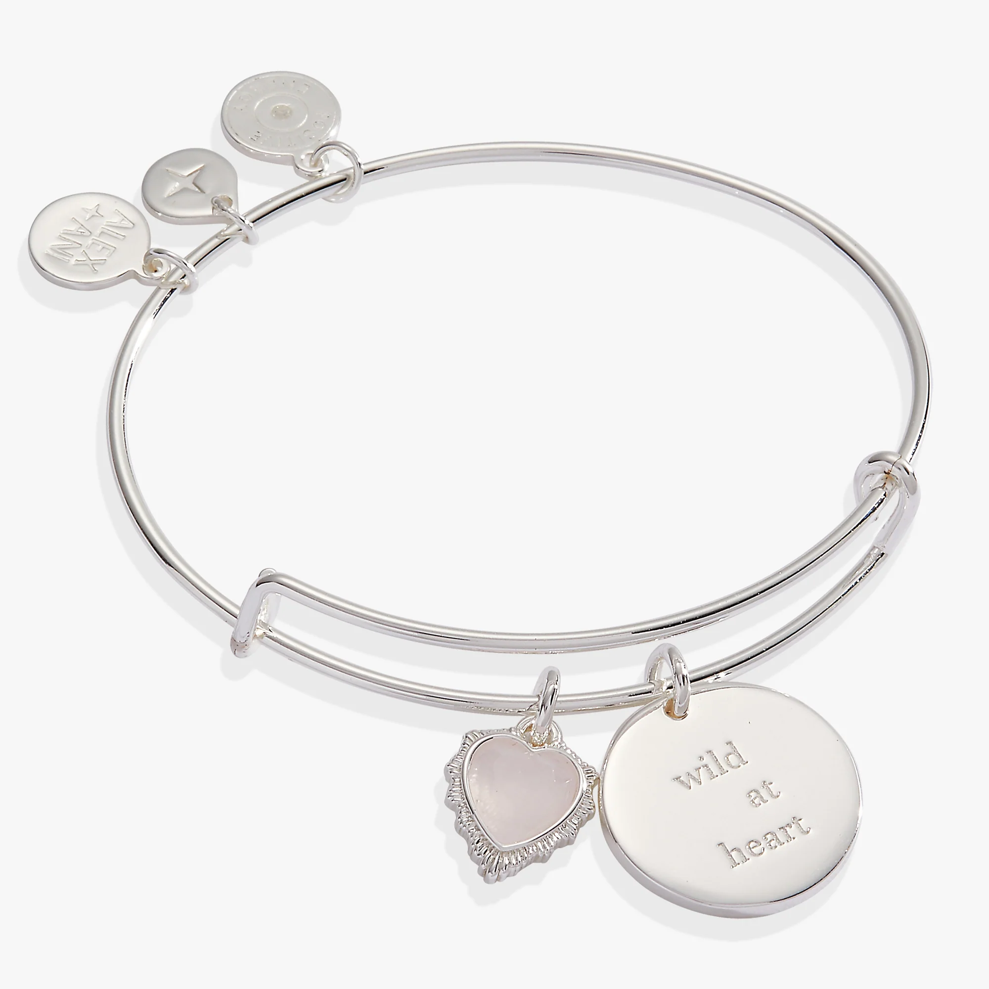 Wild at Heart Duo Charm Bangle