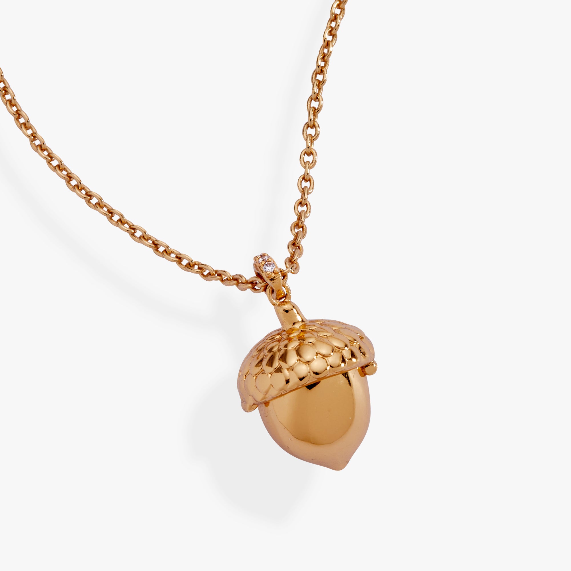 Woodland Acorn & Hidden Squirrel Locket Necklace