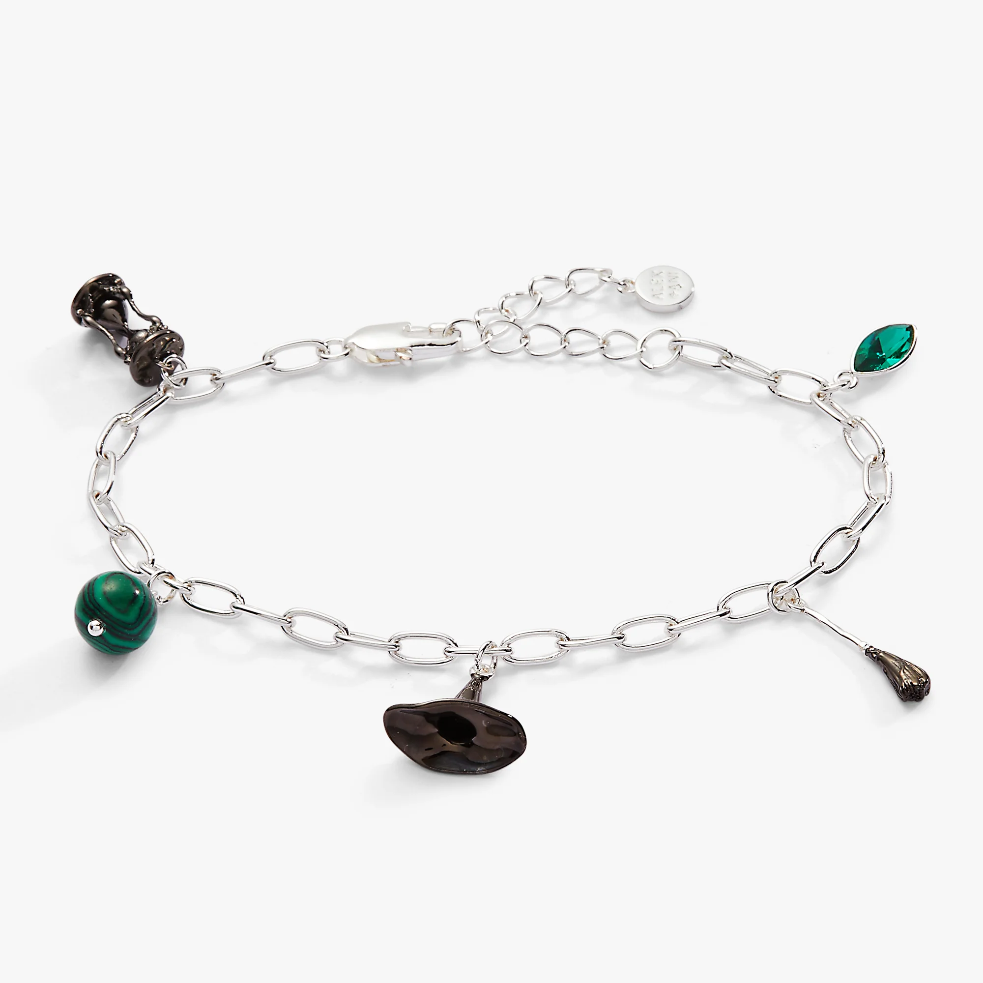 The Wizard of Oz™ Wicked Witch Charm Bracelet